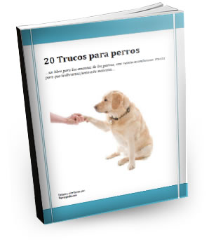 libro-perrospedia1