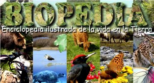 biomas y ecosistemas